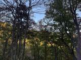  Lot 41 Wildwood Ridge - Photo 4
