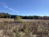 4242 Muddy Creek Mountain Rd - Photo 48