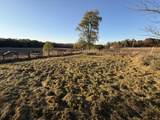 4242 Muddy Creek Mountain Rd - Photo 9