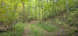  Ellison Ridge Rd - Photo 14