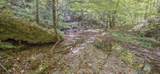  Ellison Ridge Rd - Photo 2