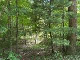 Lot 1 Rt. 1 Muddy Creek Mountain - Photo 14