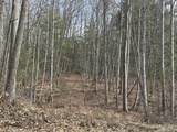 Lot 1 Rt. 1 Muddy Creek Mountain - Photo 3