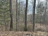 Lot 1 Rt. 1 Muddy Creek Mountain - Photo 4