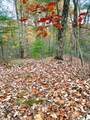  Blackberry Way Lot 19 Tract B - Photo 9