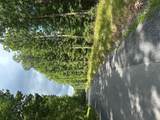 Lot 2 Rt. 1 Muddy Creek Mountain - Photo 10