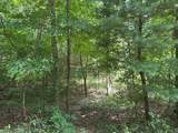 Lot 2 Rt. 1 Muddy Creek Mountain - Photo 18