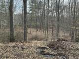 Lot 2 Rt. 1 Muddy Creek Mountain - Photo 5