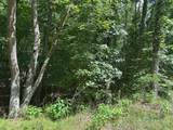 Lot 1 & 2 Rt. 1, Muddy Creek Mountain - Photo 12