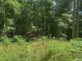 Lot 1 & 2 Rt. 1, Muddy Creek Mountain - Photo 9