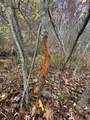  Moncove Lake Road - Photo 10