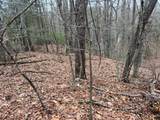  Rattlesnake Run Road - Photo 1