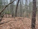  Rattlesnake Run Road - Photo 10