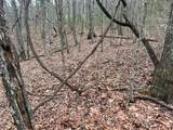  Rattlesnake Run Road - Photo 11