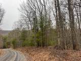  Rattlesnake Run Road - Photo 12