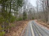  Rattlesnake Run Road - Photo 13