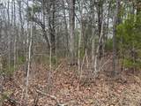  Rattlesnake Run Road - Photo 14
