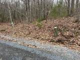  Rattlesnake Run Road - Photo 4