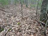  Rattlesnake Run Road - Photo 5
