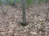  Rattlesnake Run Road - Photo 6