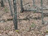  Rattlesnake Run Road - Photo 7
