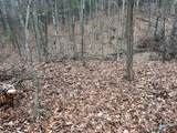  Rattlesnake Run Road - Photo 9
