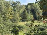 74 Harvey Golden Rd - Photo 13