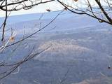  Muddy Creek Mountain Rd - Photo 11