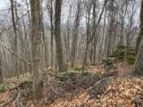  Muddy Creek Mountain Rd - Photo 12