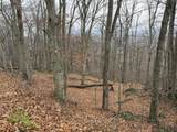  Muddy Creek Mountain Rd - Photo 13