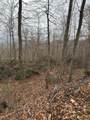  Muddy Creek Mountain Rd - Photo 14