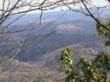  Muddy Creek Mountain Rd - Photo 16