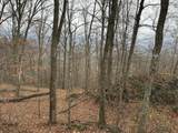  Muddy Creek Mountain Rd - Photo 19