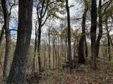  Muddy Creek Mountain Rd - Photo 4