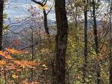  Muddy Creek Mountain Rd - Photo 5
