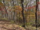  Muddy Creek Mountain Rd - Photo 6