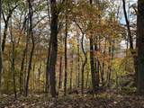  Muddy Creek Mountain Rd - Photo 7