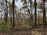  Muddy Creek Mountain Rd - Photo 8