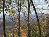  Muddy Creek Mountain Rd - Photo 9