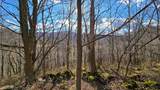  27 Acres Big Spring Elk - Photo 1