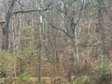 171 Bowles Hollow Rd - Photo 10
