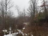 727 Curtain Rd - Photo 3