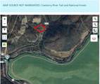727 Curtain Rd - Photo 6