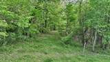  Chestnut Flats - Photo 12