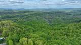  Chestnut Flats - Photo 16