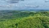  Chestnut Flats - Photo 18