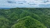  Chestnut Flats - Photo 25