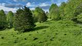  Chestnut Flats - Photo 44