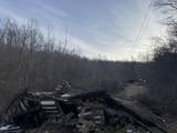 911 Shingles Branch Rd - Photo 1