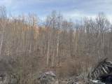 911 Shingles Branch Rd - Photo 2